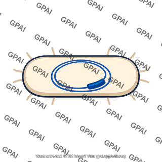 Hfr cell