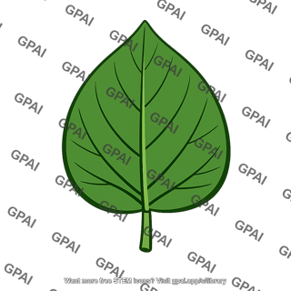Sugar source leaf