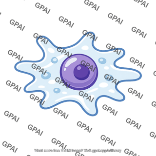 Amoebocyte totipotent