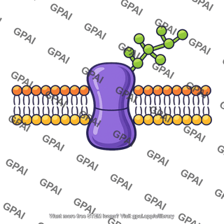Transmembrane glycoprotein