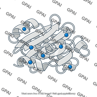 B galactosidase altered