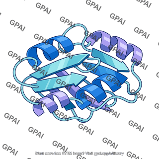 Protein structure 3d