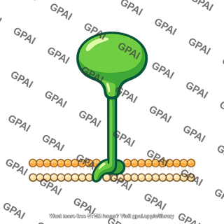 Cell surface protein identifier