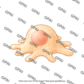 Spheroidal cell crawling