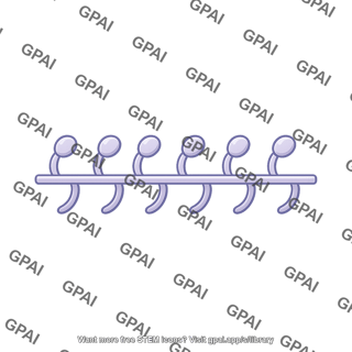 Sarcomere myosin single