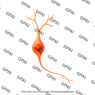 Granule neuron immature early branching
