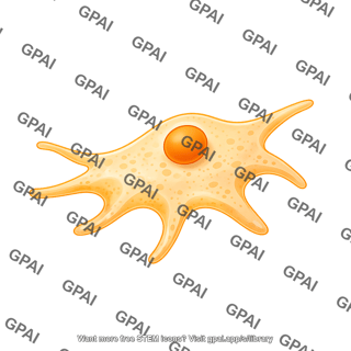 Motile cell stage 3
