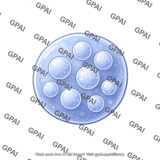 Endosome late 1