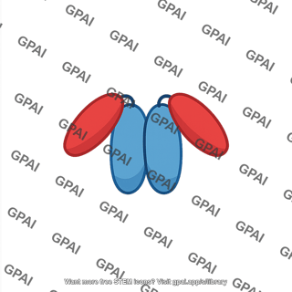 Phytochrome pfr active arabidopsis