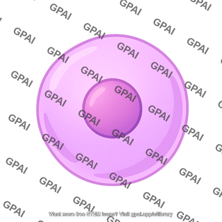Stem cell 01