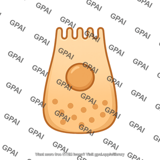 L cell 402