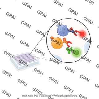 Cell staining with antibodies