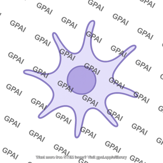 Stellate cell 1