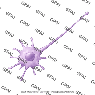 Dendritic cell extending