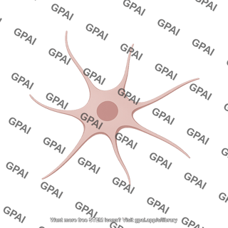 Melanocyte variation 2