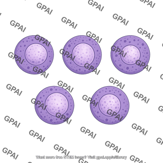 Nucleus shape 5