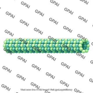 Microtubule long 01