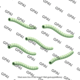 Microtubule simplified 6