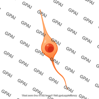 Granule neuron amplifying progenitor 01