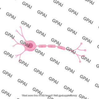 Neuron schematic