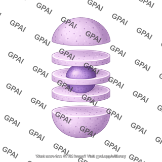 Nucleus cut cryosectioned