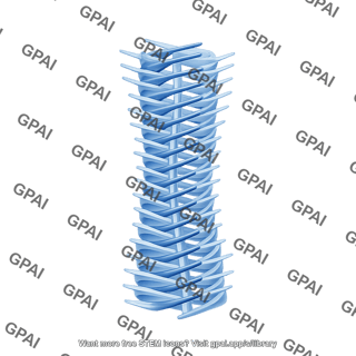 Amyloid fibril
