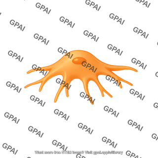 Pericyte 1