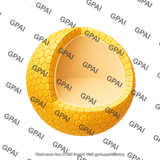 Spheroid 3d cross section