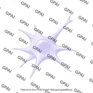 Dendritic cell squeezing editable