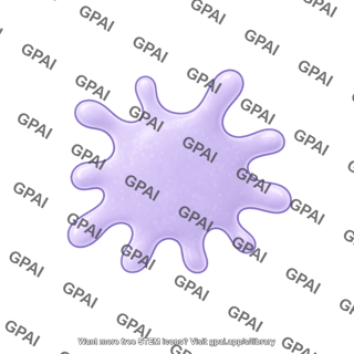 Cell shape 5