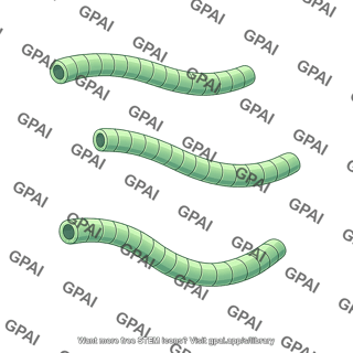 Microtubule simplified 3