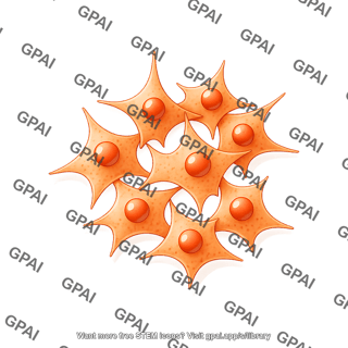 A549 cells