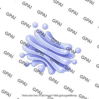 Golgi apparatus 2d