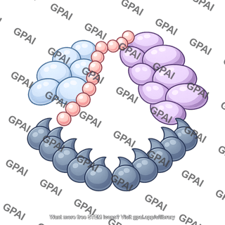 Kinetochore dash complex