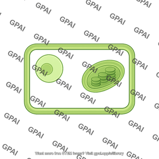 Plant cell 2