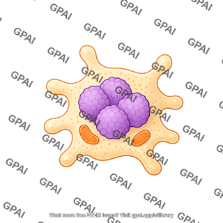 Cell shape 3