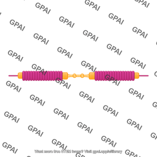 Fibronectin dimer