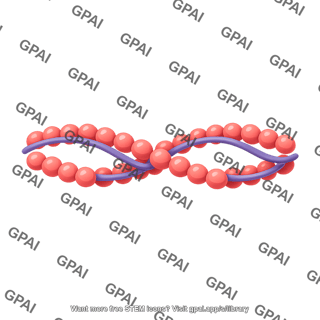 Actin filament short