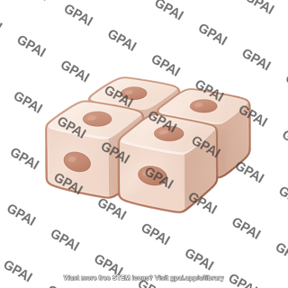 Epithelial cell simple cuboidal