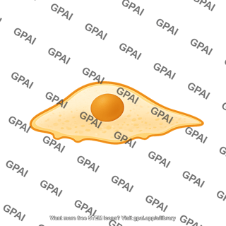 Motile cell stage 0