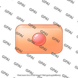 Cuboidal cell rectangular