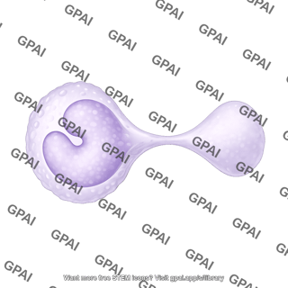 Monocyte squeezing