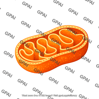 Mitochondria schematic icon