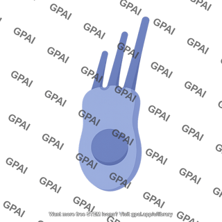 Hair cell 1