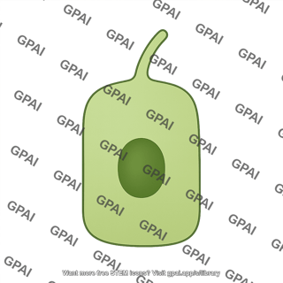 Cholangiocyte large 1