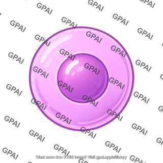 Stem cell hematopoietic 01