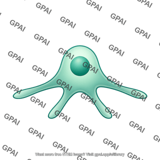 Anchor cell 3