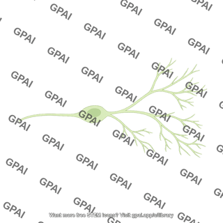 Cajal retzius neuron