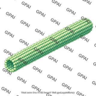 Microtubule long