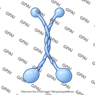 Kinesin 1